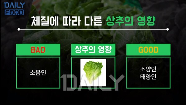졸음 부른다는 상추, 불면증에 정말 