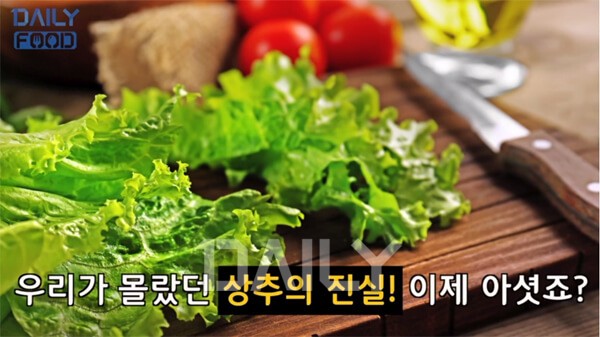 졸음 부른다는 상추, 불면증에 정말 