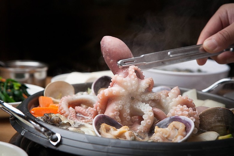 쫄깃쫄깃 탱글탱글 맛있는 낙지요리