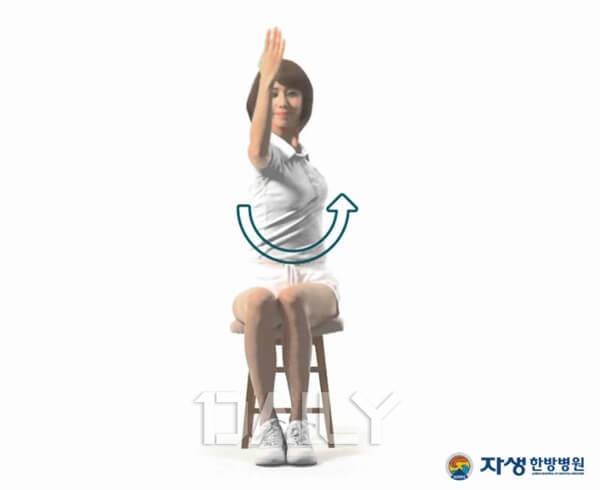 허리 통증 완화에 도움이 되는 체조와