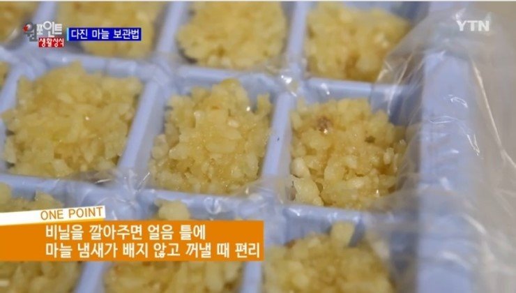 두고두고 오래 먹는 채소 보관 노하우