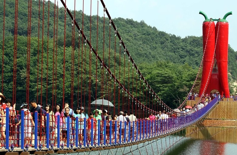 자연 절경과 아찔한 스릴을 한 번에!