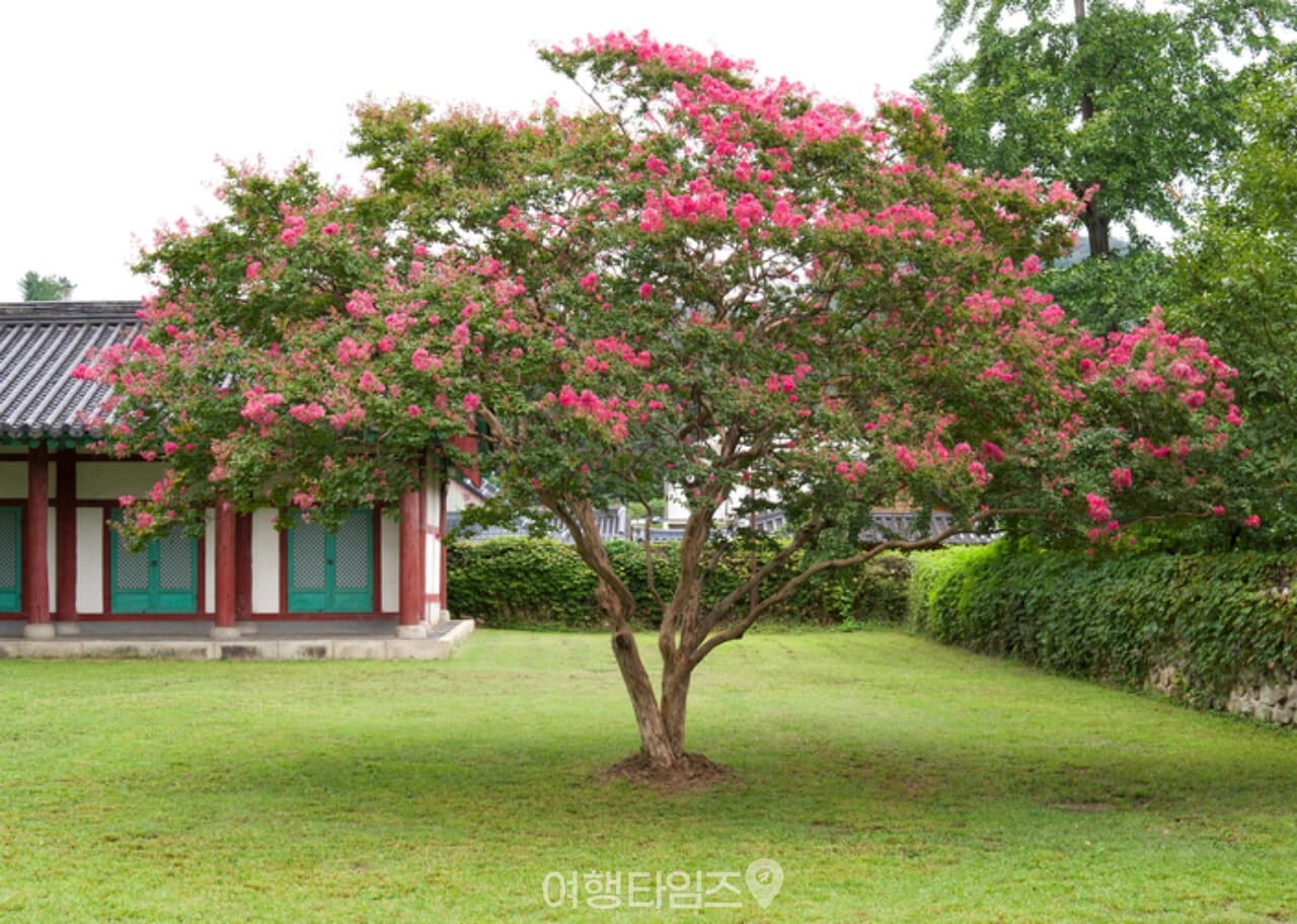 전주향교 / 사진=게티이미지뱅크