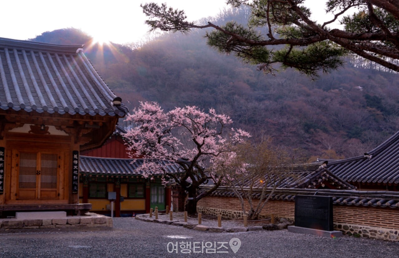 백양사 봄 풍경 / 사진=게티이미지뱅크