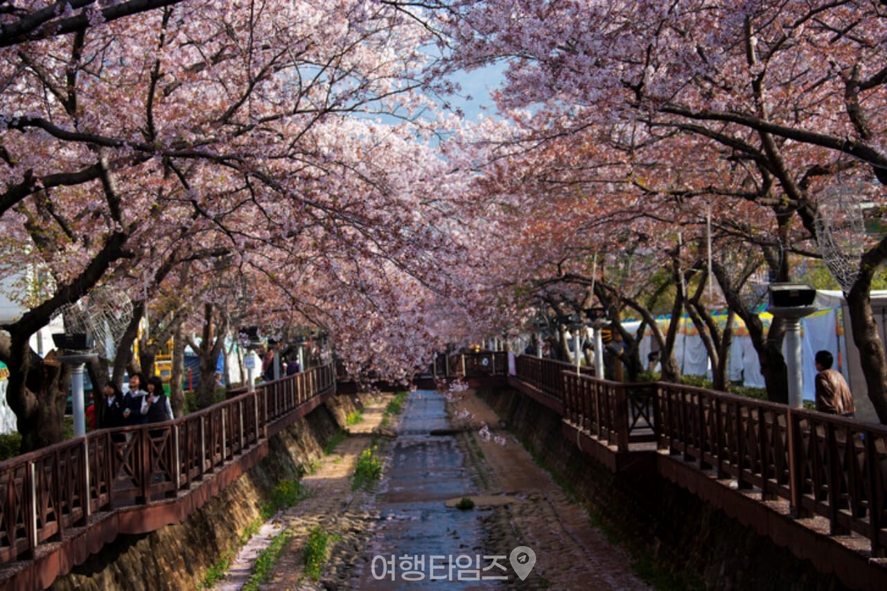 여좌천 / 사진=게티이미지뱅크