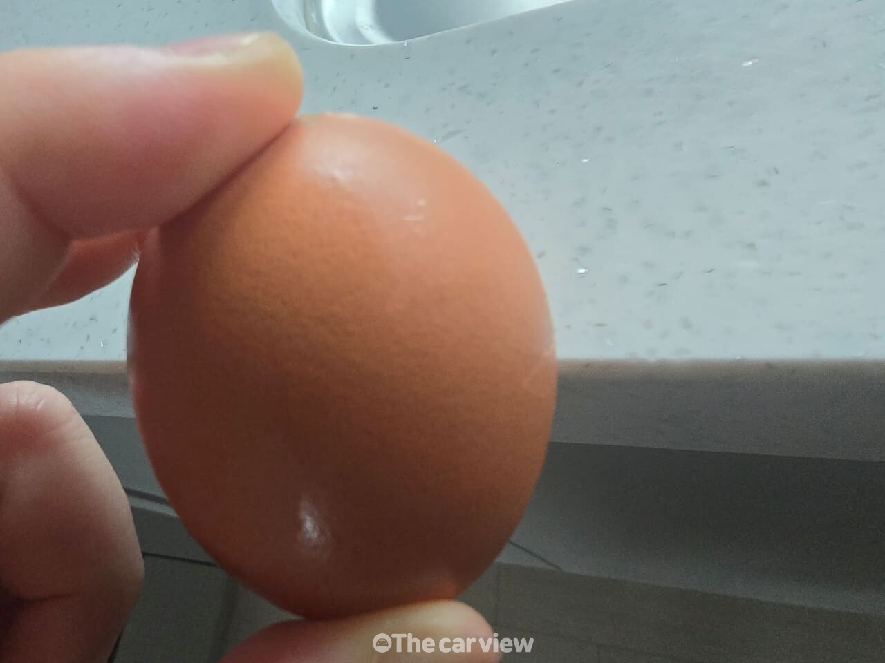계란 / 사진=더카뷰