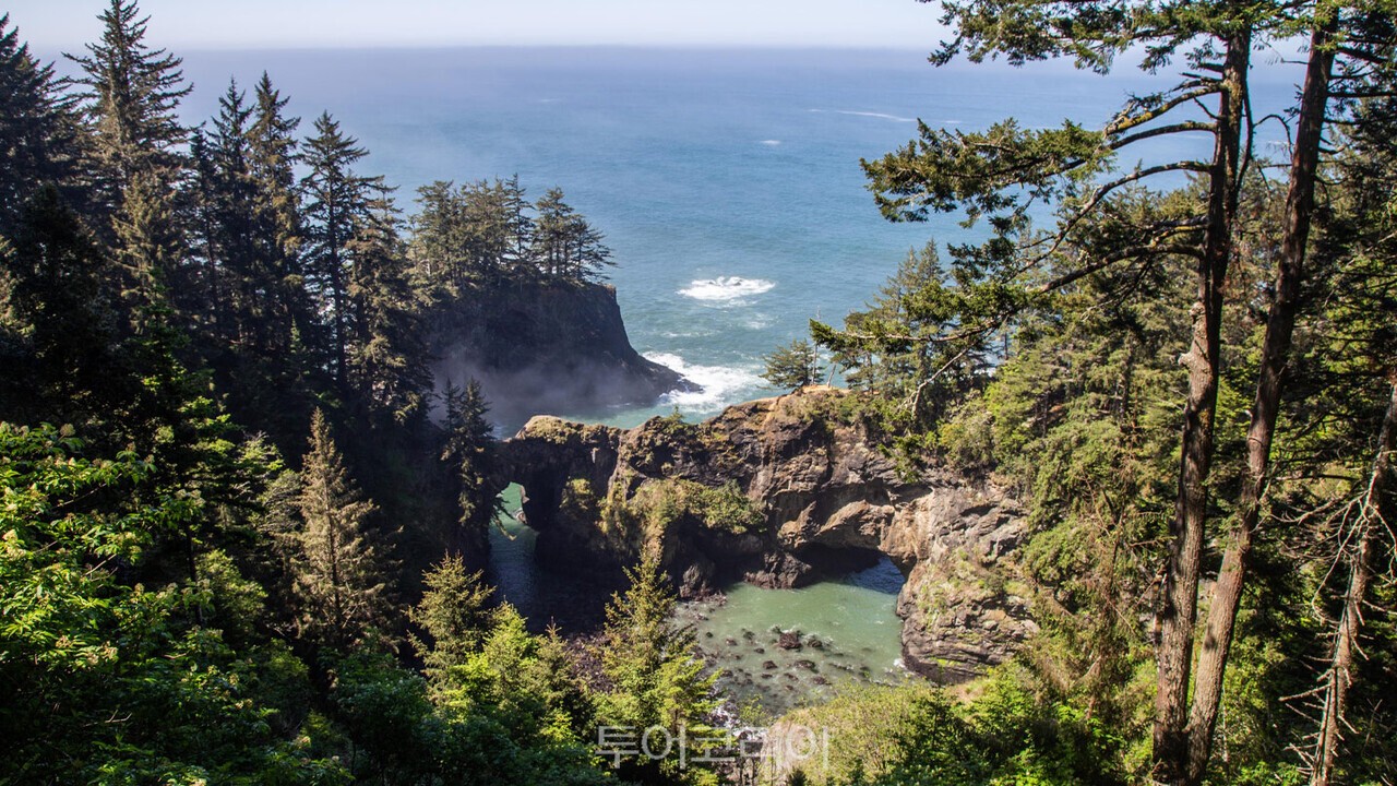 사무엘 H. 보드먼 스테이트 시닉 코리도어(Samuel H. Boardman State Scenic Corridor)/사진 제공: Alex Jordan,Oregon Coast Visitor's Association /사진-오리건관광청 한국사무소