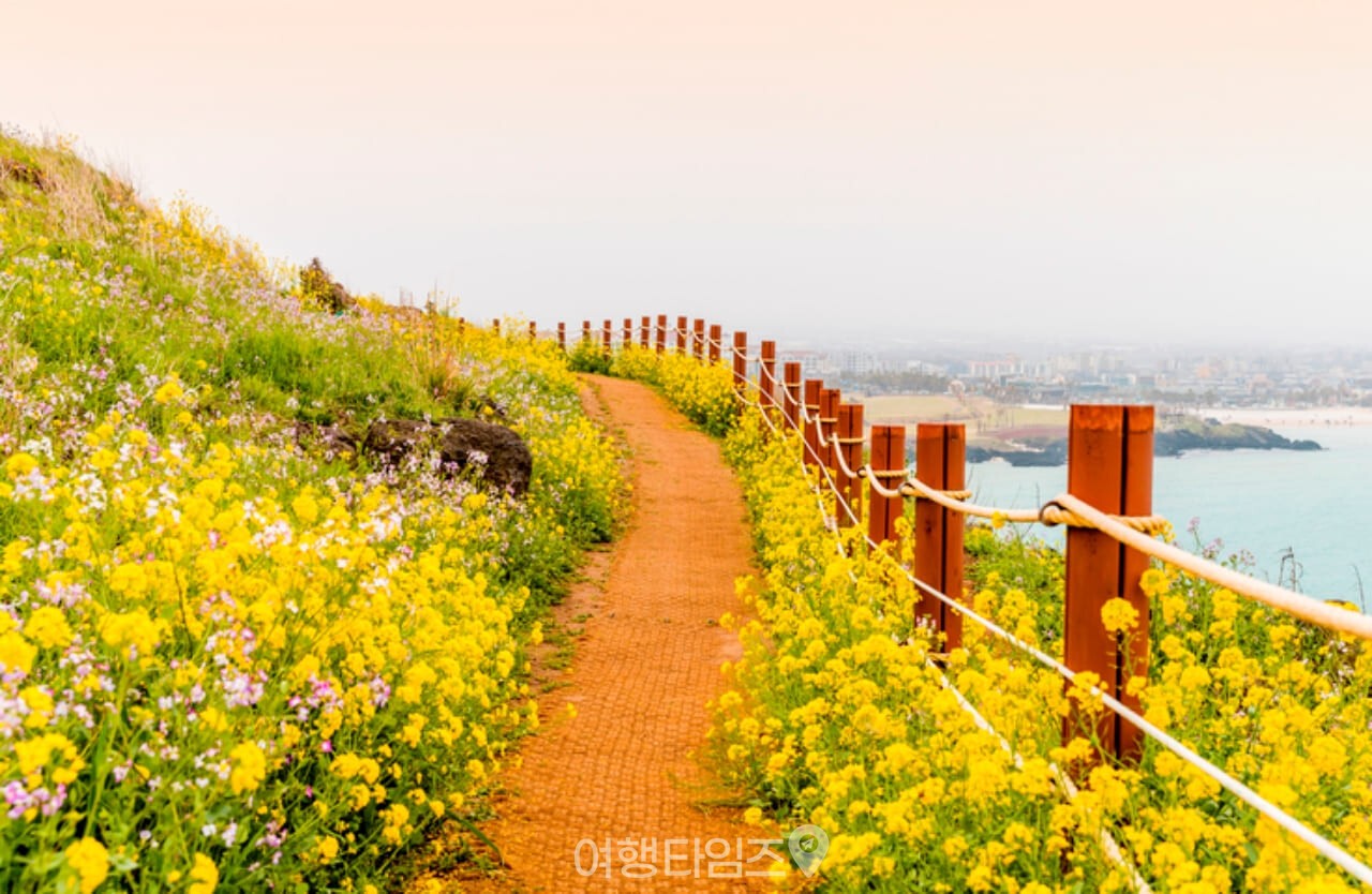 서우봉 / 사진=게티이미지뱅크