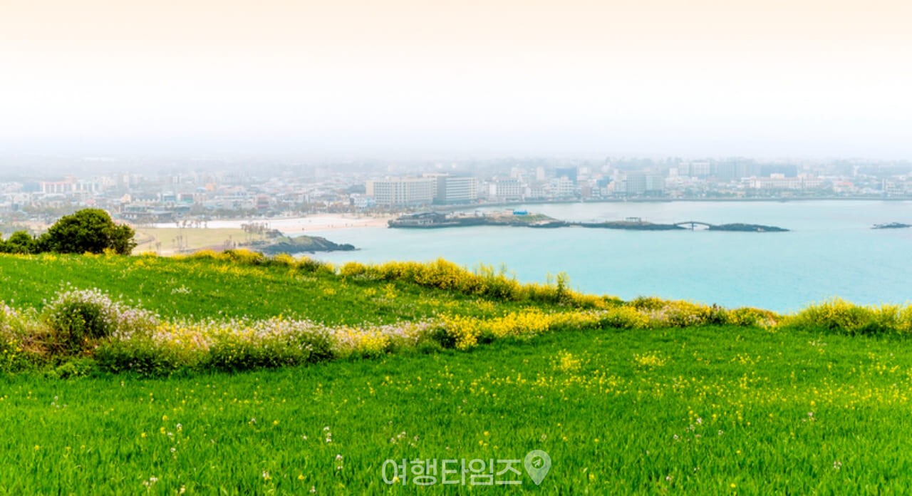 서우봉 / 사진=게티이미지뱅크