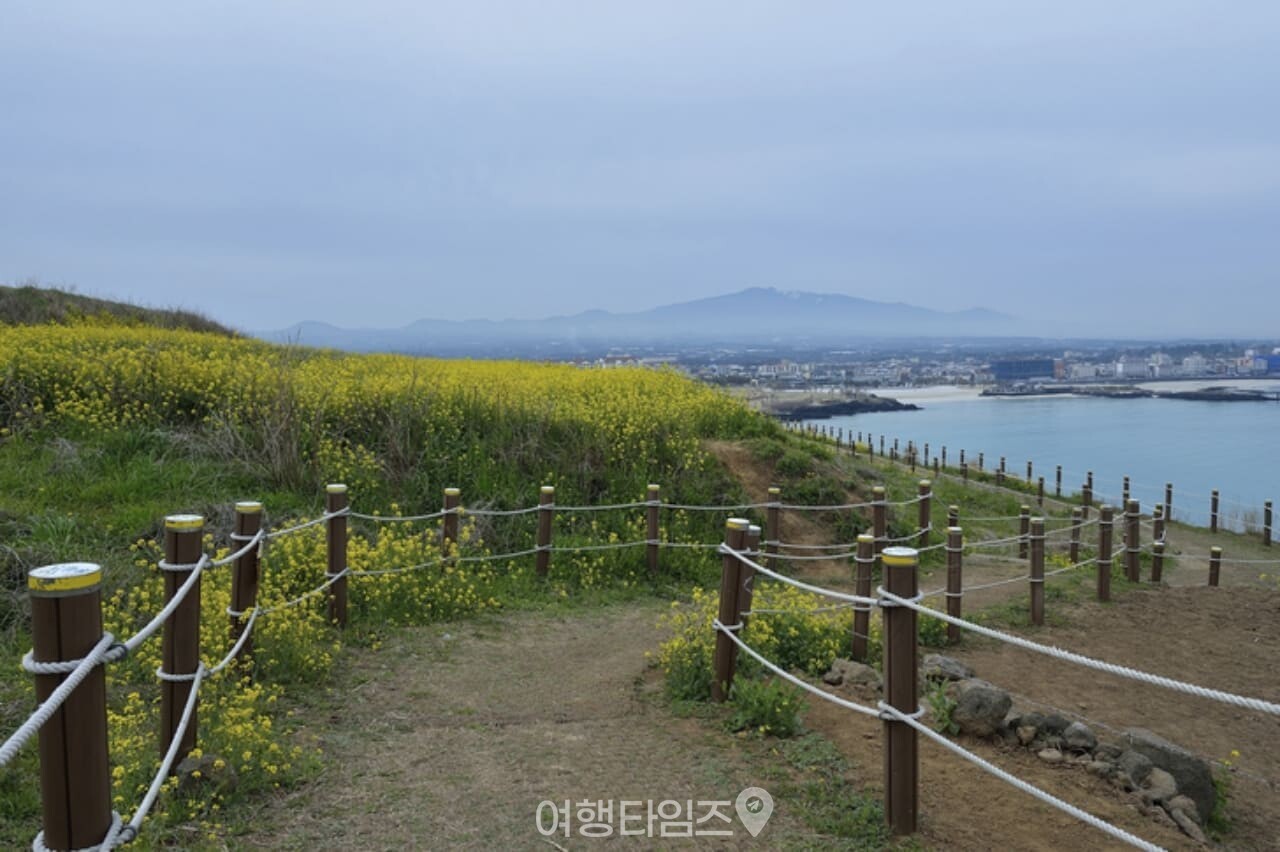 서우봉 / 사진=게티이미지뱅크