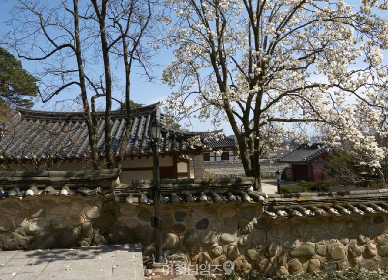 오죽헌 / 사진=게티이미지뱅크