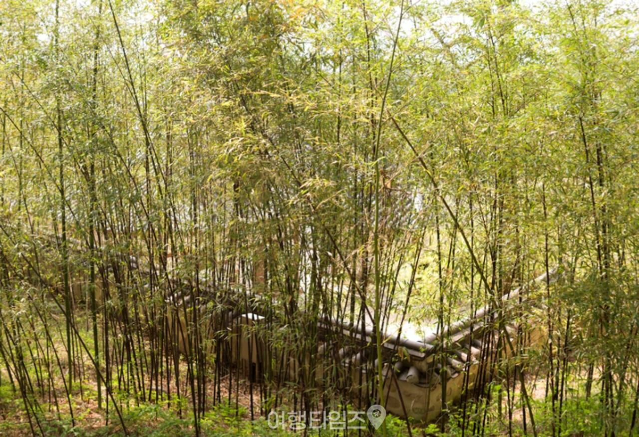 오죽헌 / 사진=게티이미지뱅크