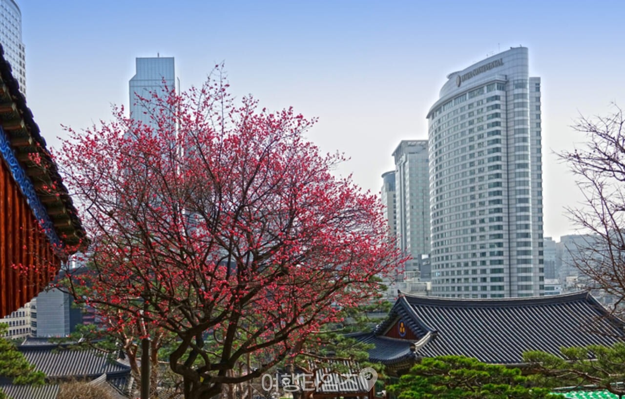 서울 봉은사 / 사진=게티이미지뱅크