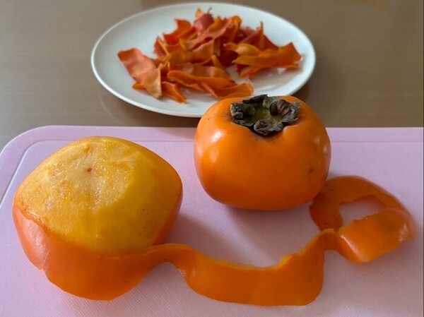 kurashinista