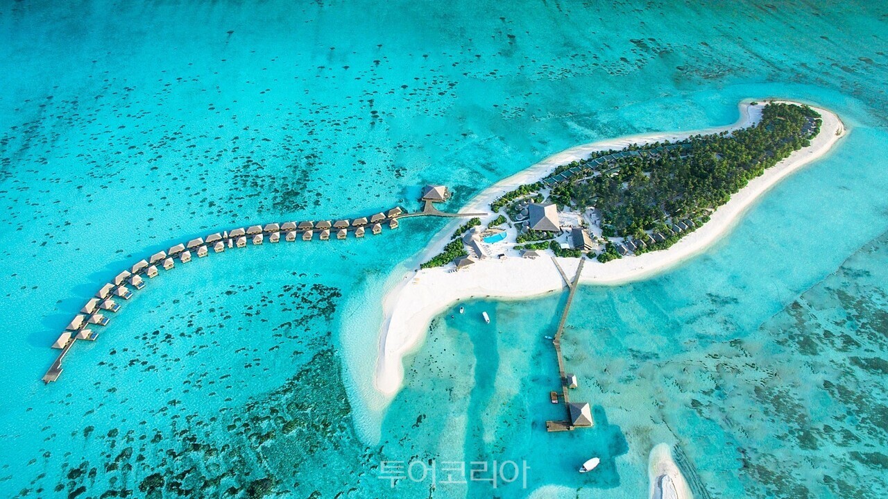 사진-투어민