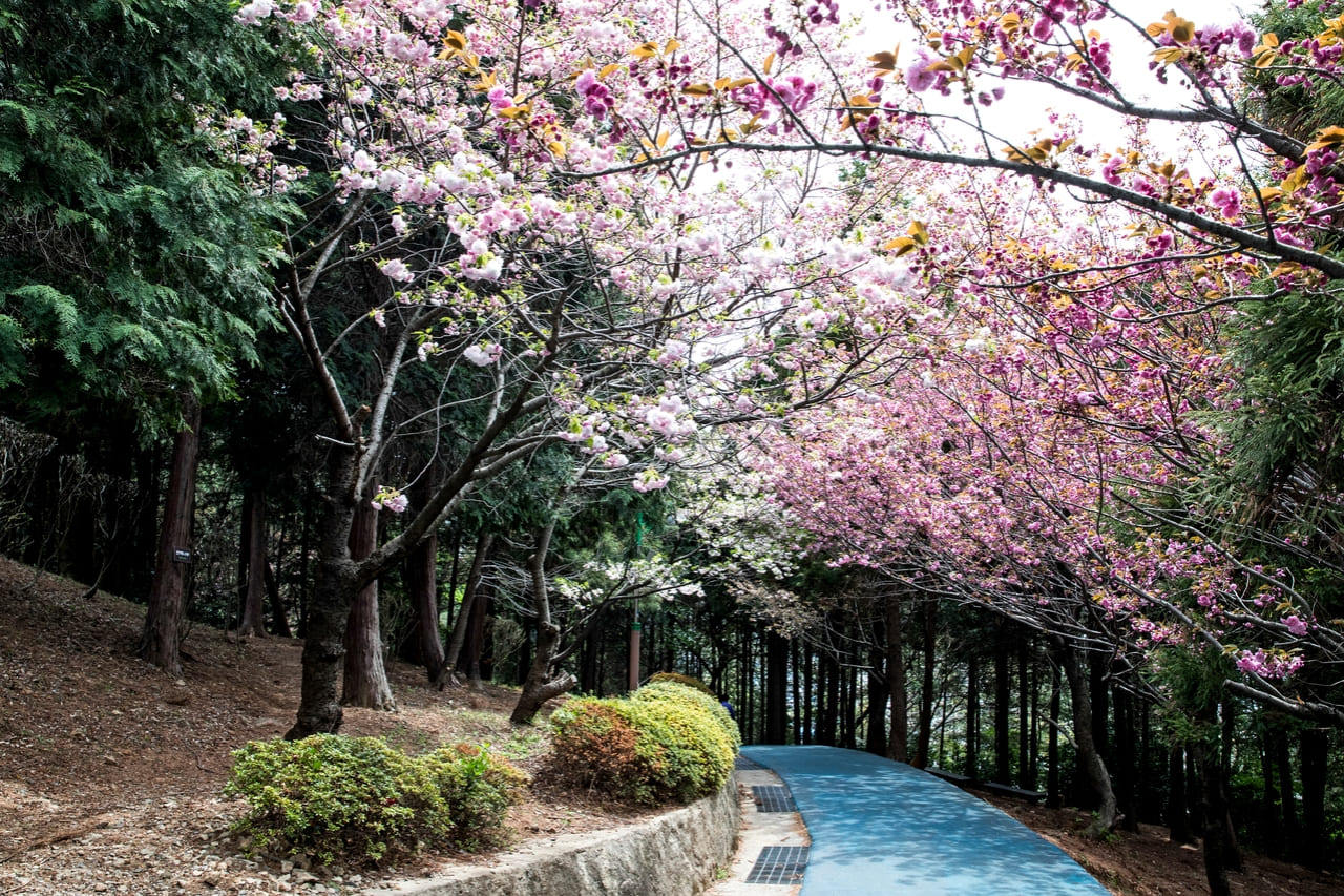 부산 민주공원 / 한국관광공사-이범수