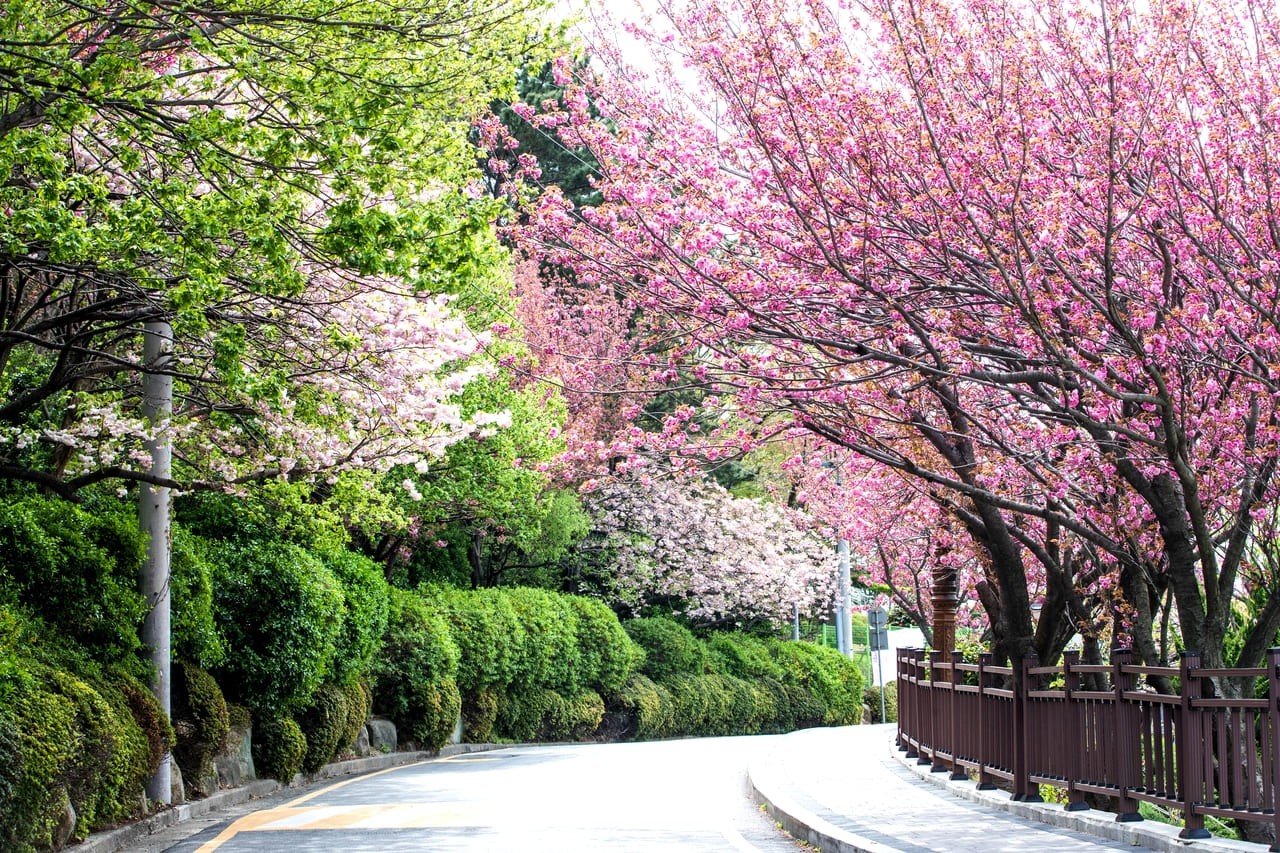 부산 민주공원 / 한국관광공사-이범수