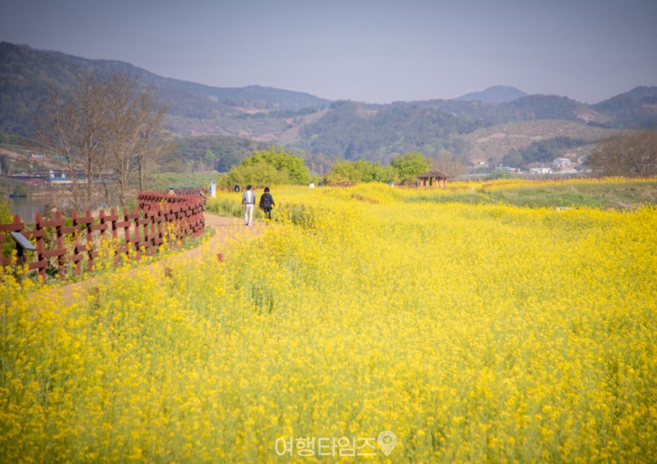 주남저수지 / 사진=게티이미지뱅크