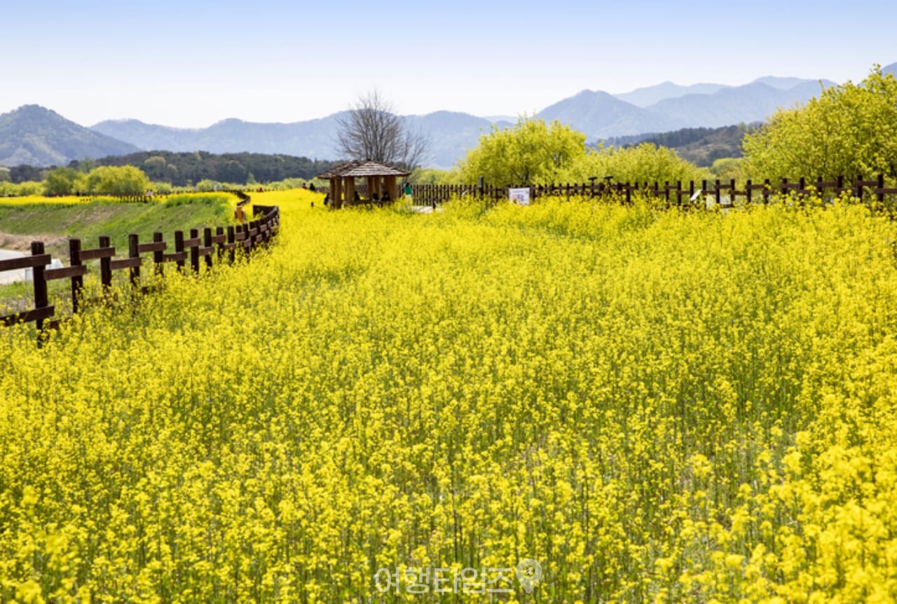 주남저수지 / 사진=게티이미지뱅크