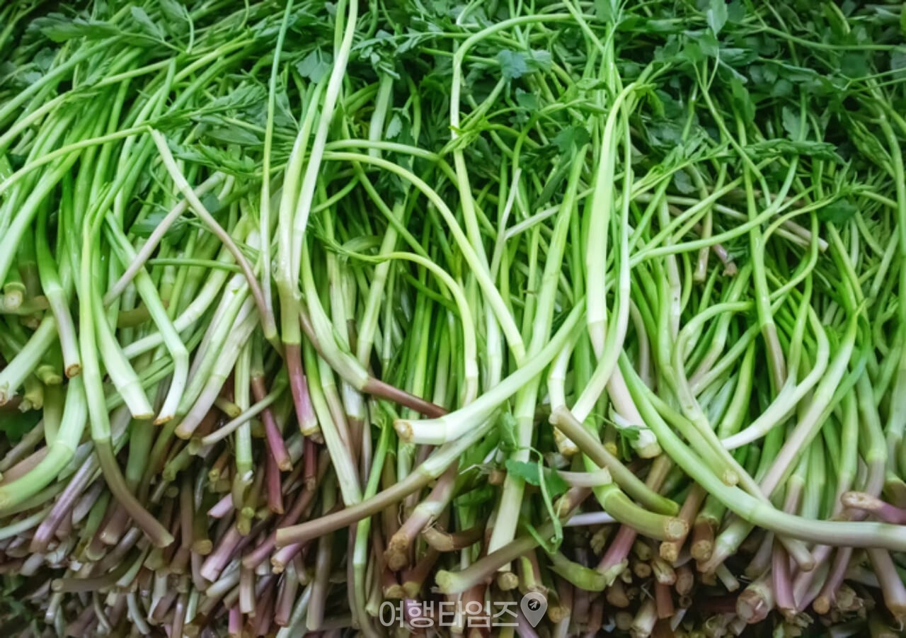 제철 봄나물 / 사진=게티이미지뱅크