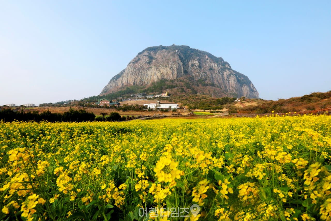 산방산 / 사진=게티이미지뱅크