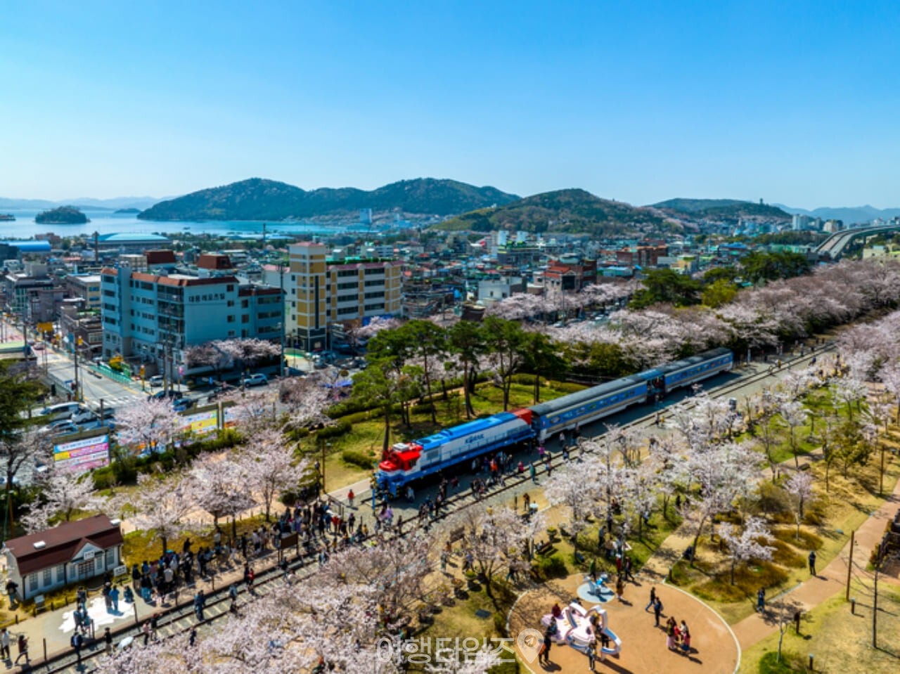 경화역 벚꽃 / 사진=게티이미지뱅크