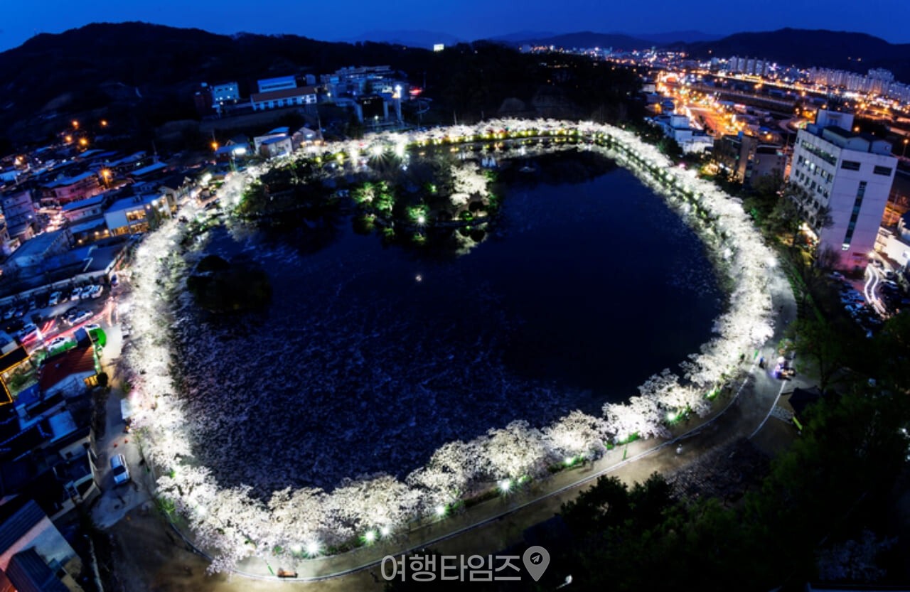 연화지 벚꽃 명소 / 사진=게티이미지뱅크