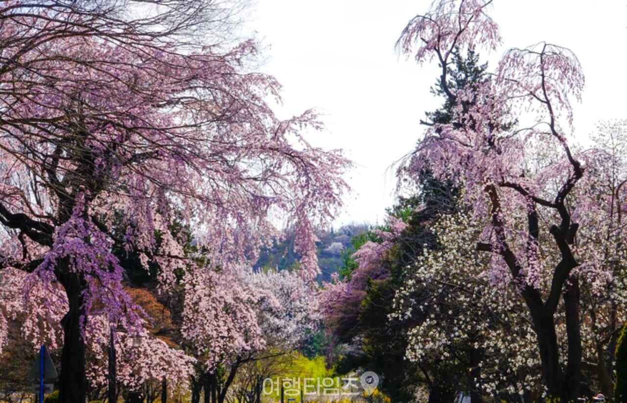 국립현충원 / 사진=게티이미지뱅크