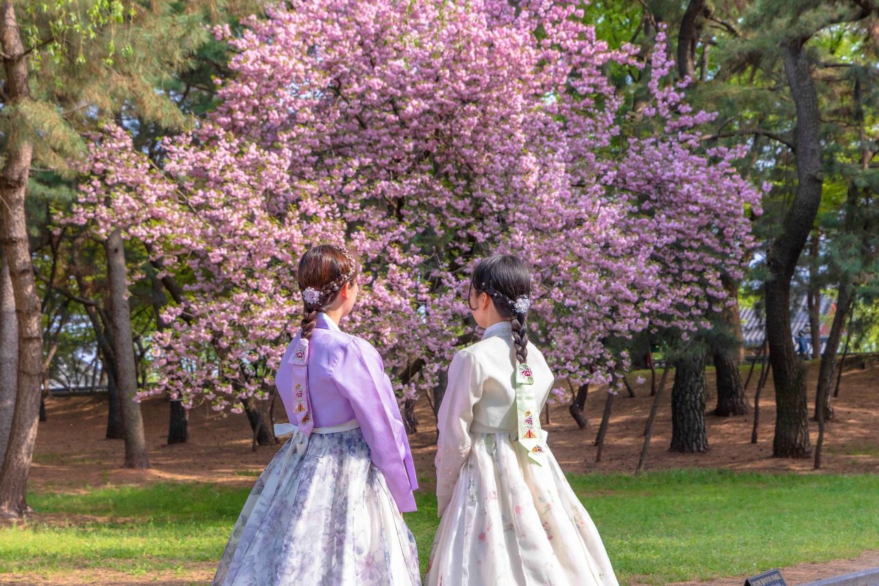 대릉원 일원 / 사진=한국관광공사 포토코리아@황성훈