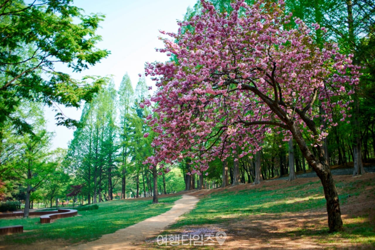 인천대공원 / 사진=게티이미지뱅크