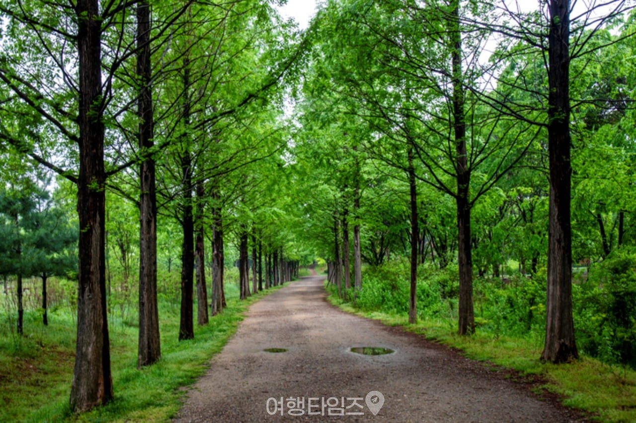 인천대공원 / 사진=게티이미지뱅크