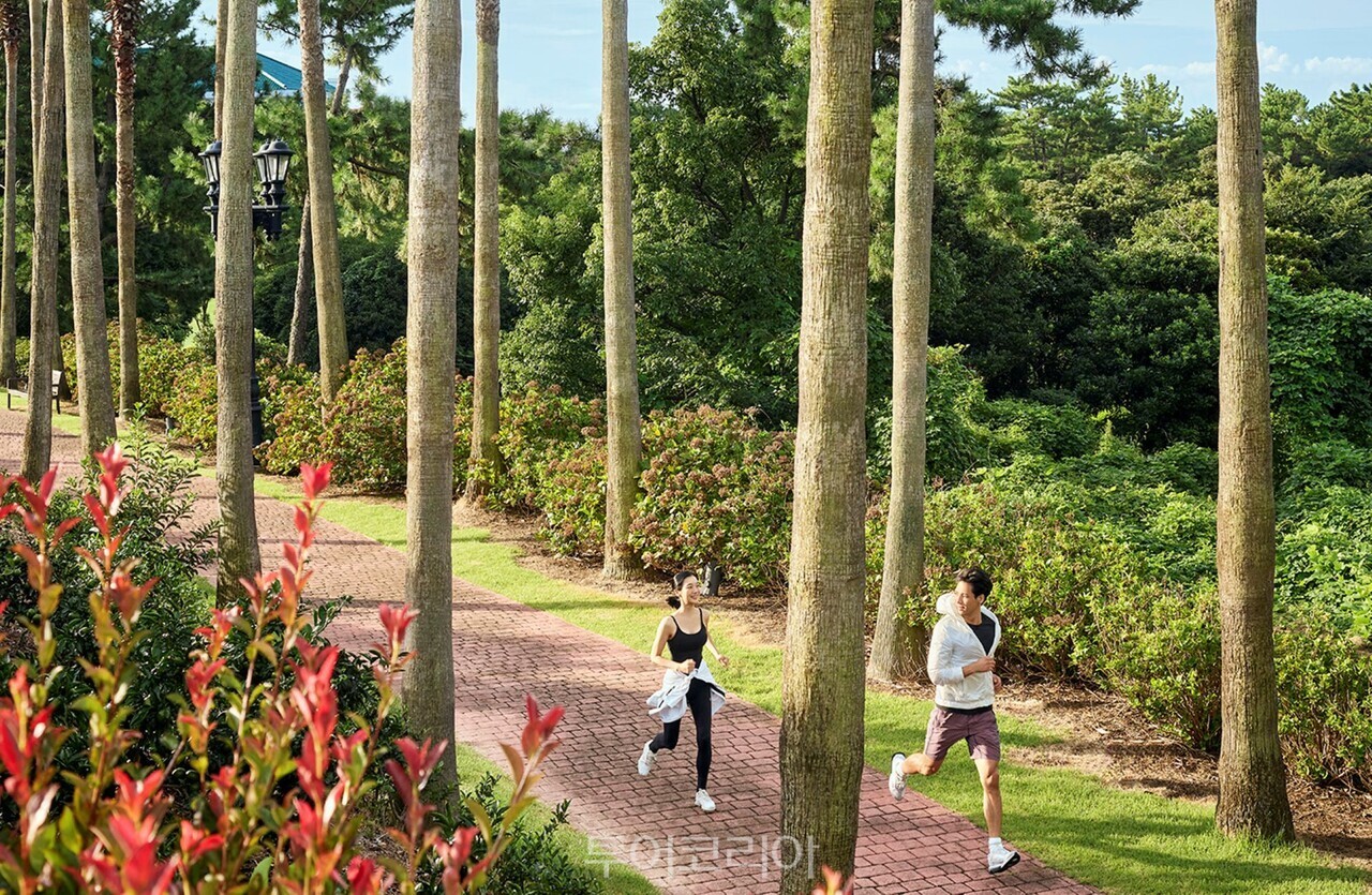 레디 셋 웰니스 / 사진-그랜드 조선 제주