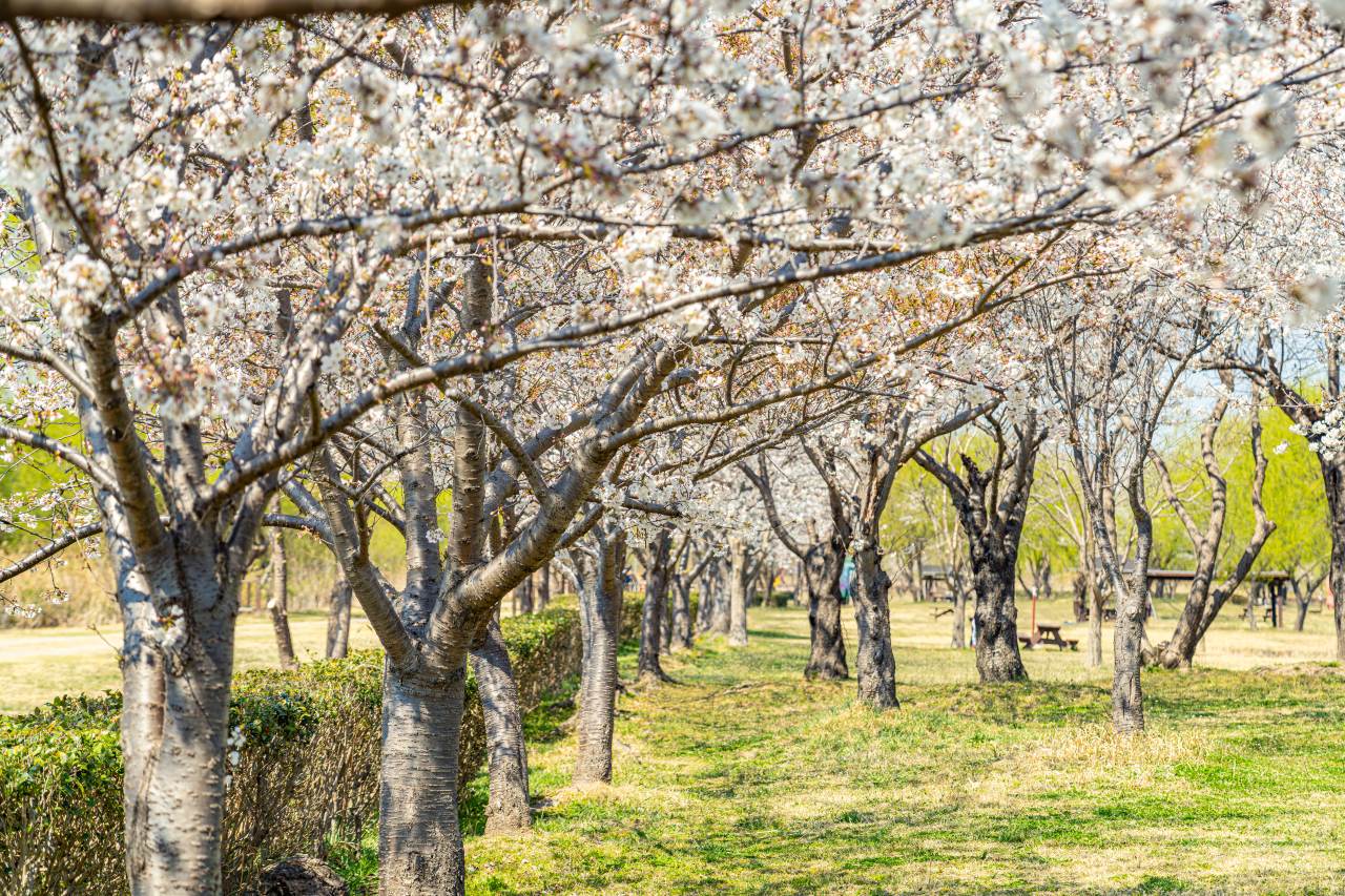 잔디밭 피크닉 / 사진=부산관광공사@하이픈그룹