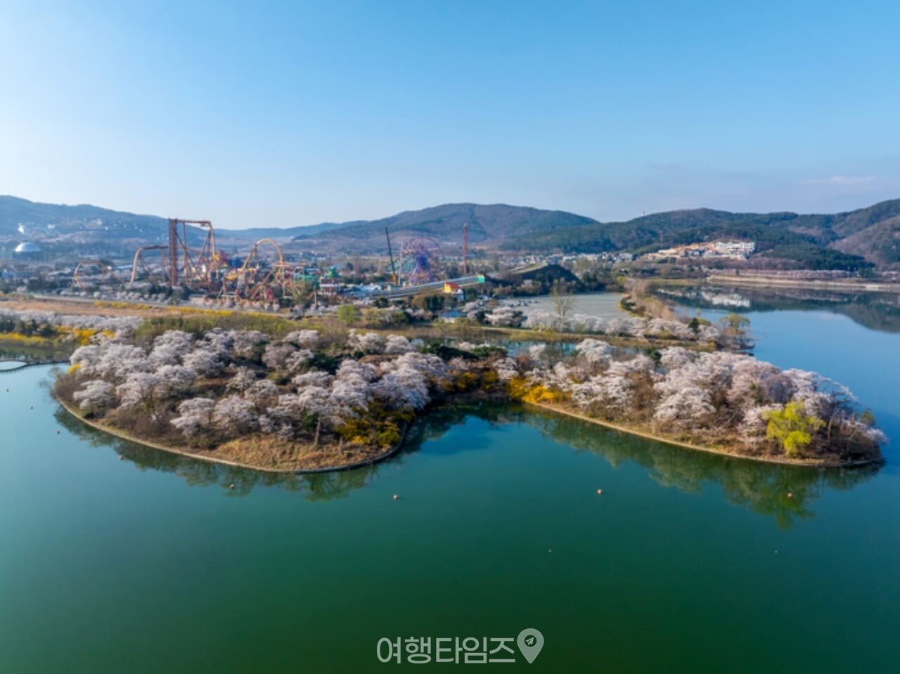 보문호 벚꽃 / 사진=게티이미지뱅크