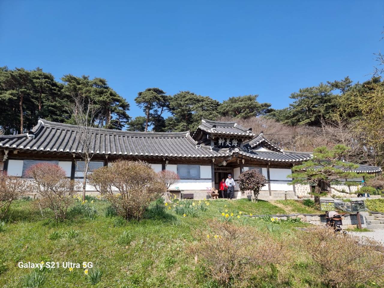 100년 된 고택과 수선화 / 사진=충남관광서포터즈(httpsblog.naver.comcaual223829481595)