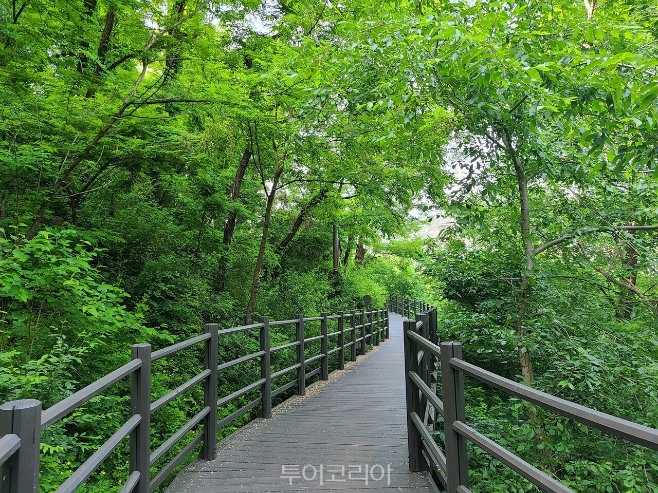 서울 안산자락길  여주 동학의길 부안 변산마실길 / 사진-승우여행사