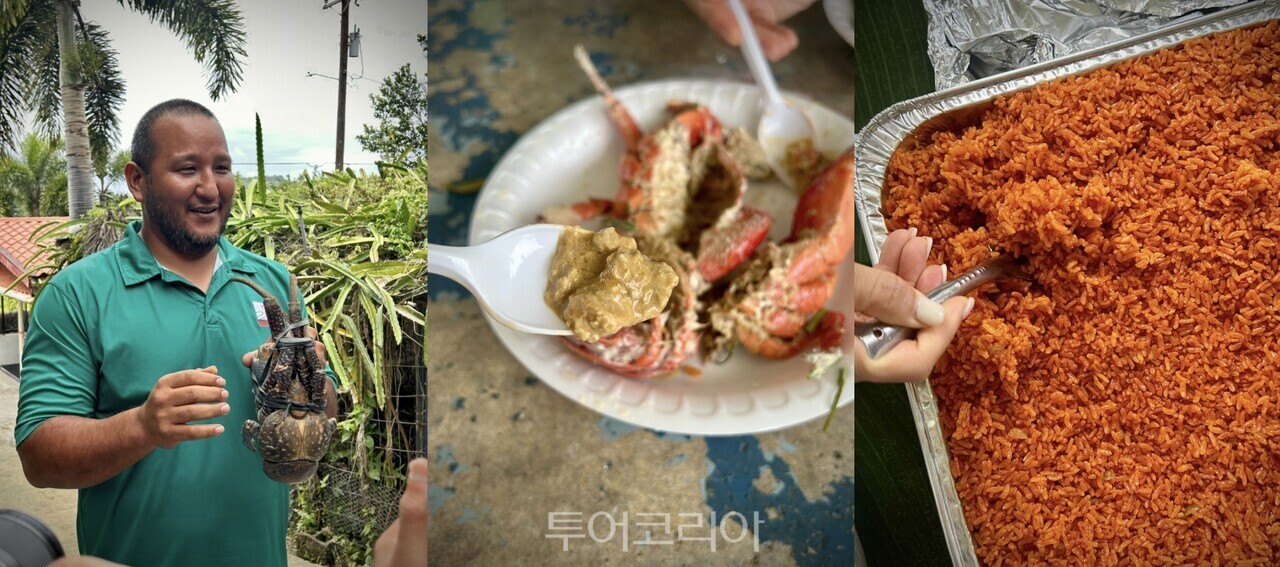 코코넛크랩을 손질하는 모습(왼쪽), 내장을 맛보는 장면(가운데), 차모로식 레드라이스(오른쪽)./ 사진- 박은하 기자
