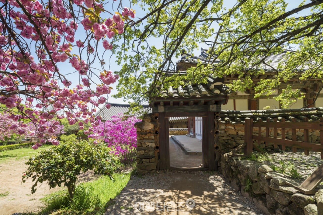 선암사 / 사진=게티이미지뱅크