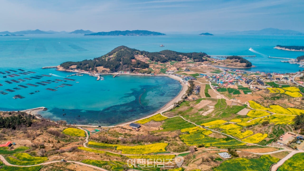 청산도 유채꽃 명소 / 사진=게티이미지뱅크