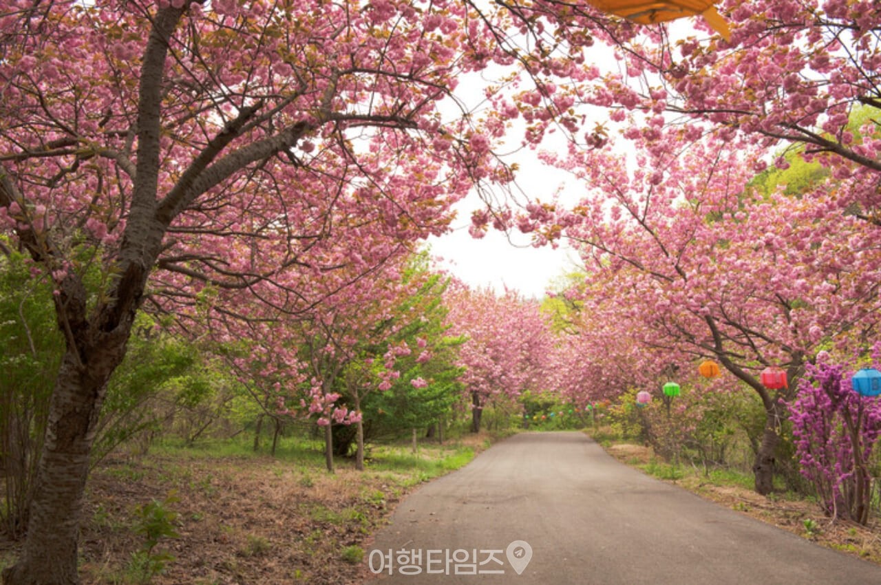 개심사 / 사진=게티이미지뱅크