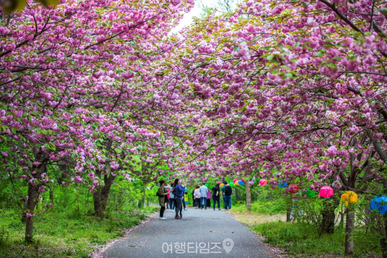 개심사 / 사진=게티이미지뱅크