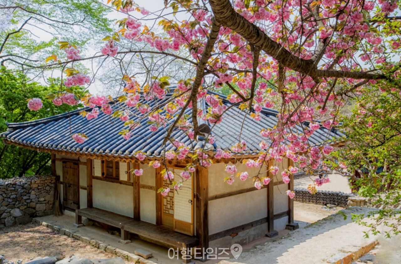 개심사 / 사진=게티이미지뱅크