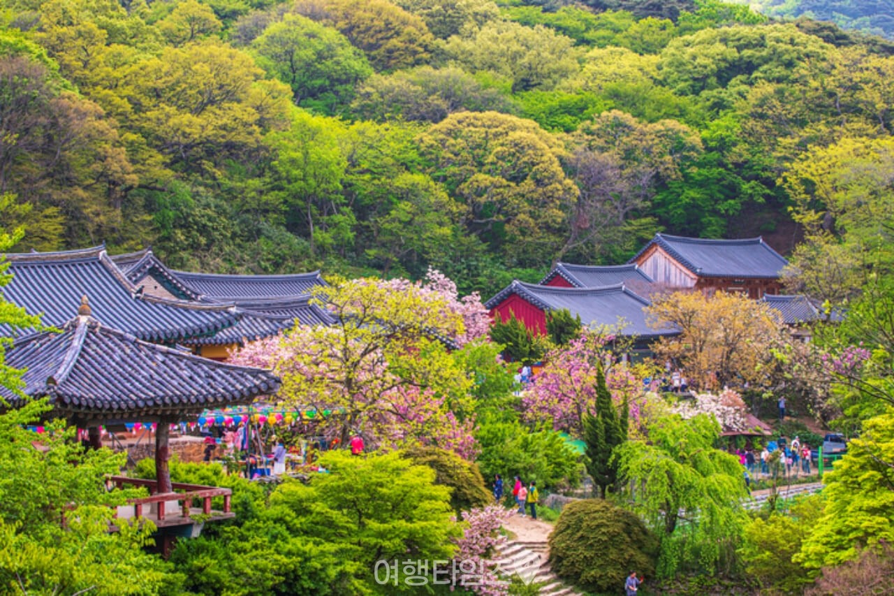 개심사 / 사진=게티이미지뱅크