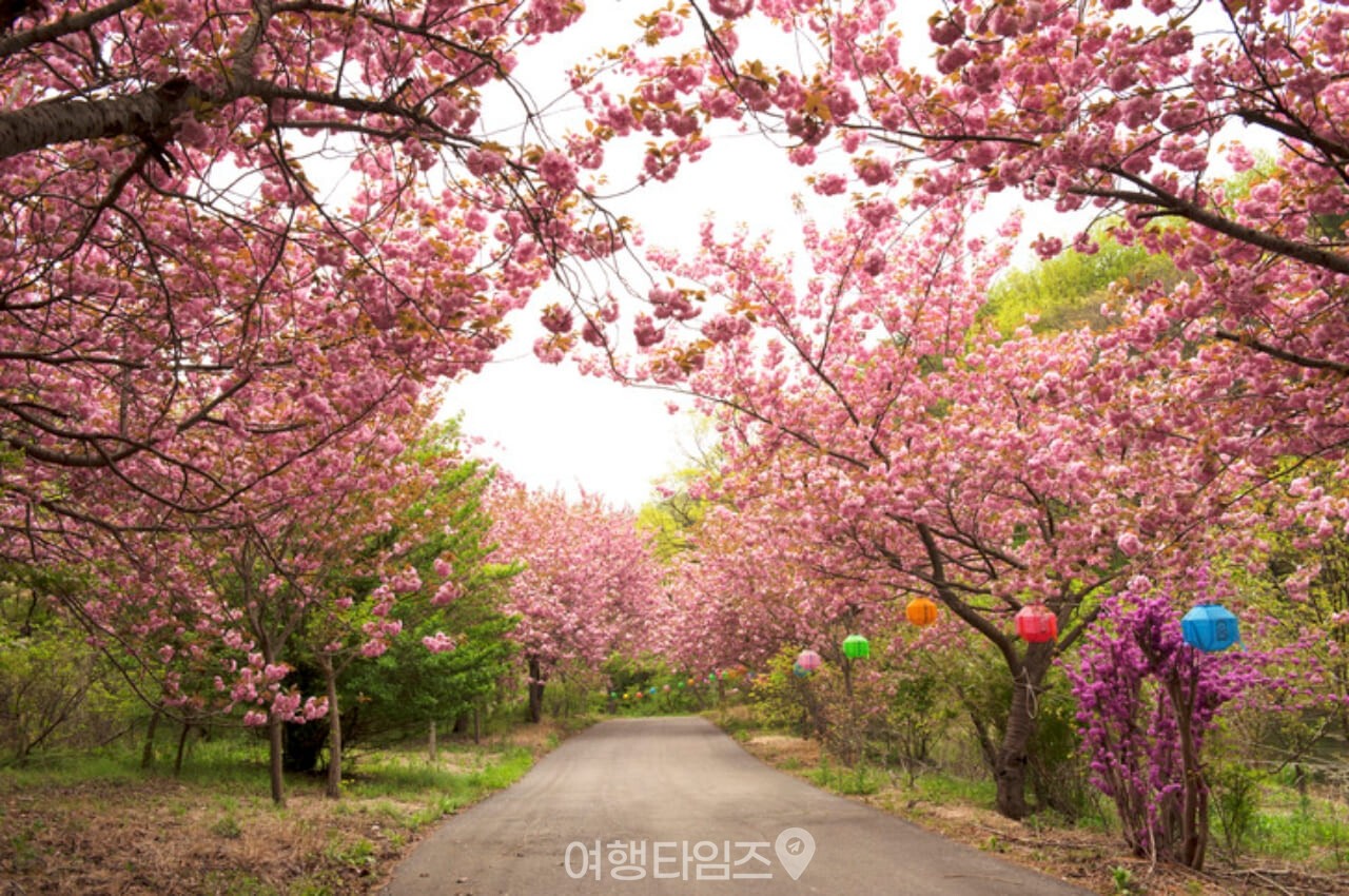 개심사 / 사진=게티이미지뱅크