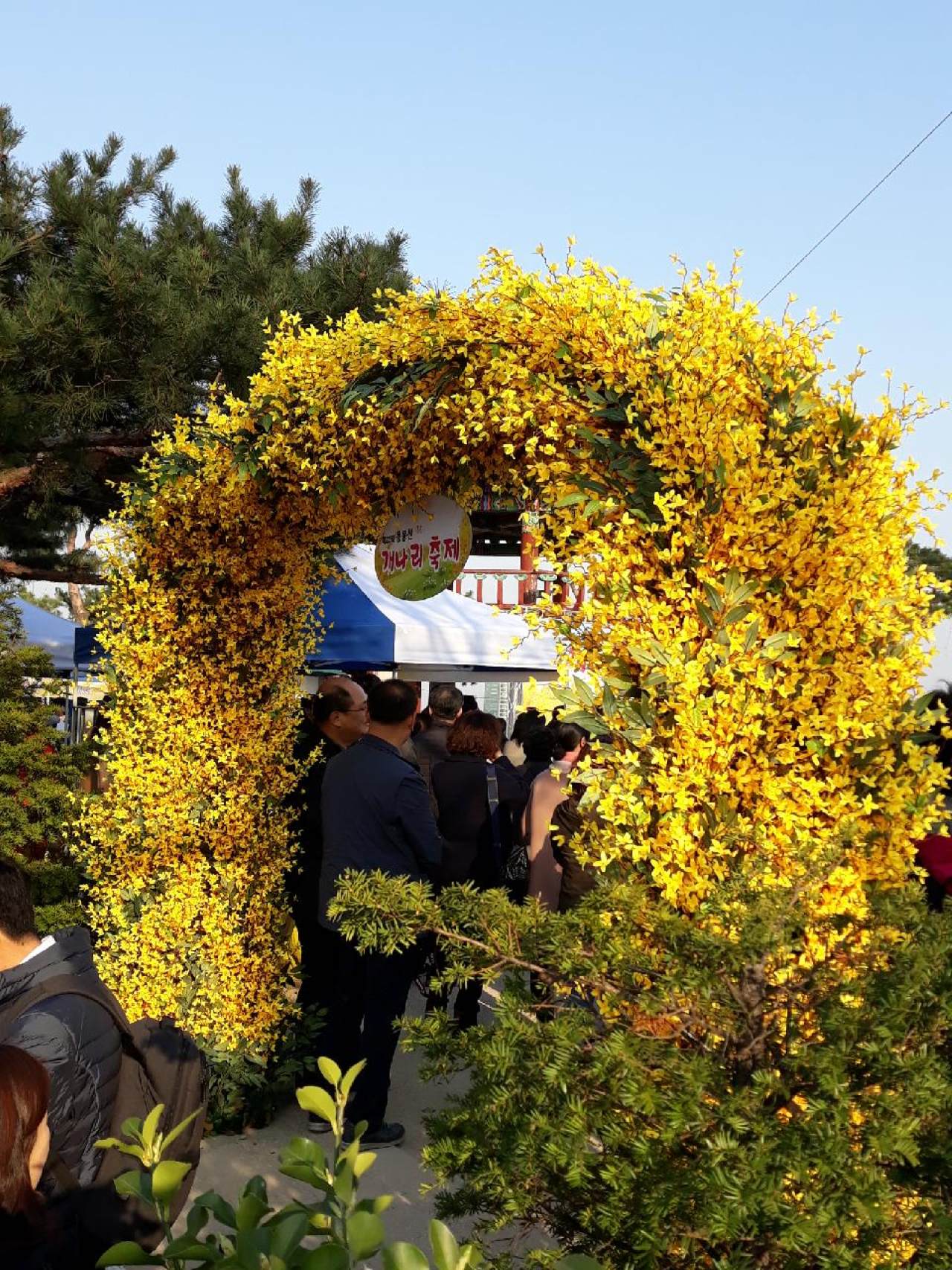 지난 축제 현장 / 사진=서울시 성동구 공식 누리집