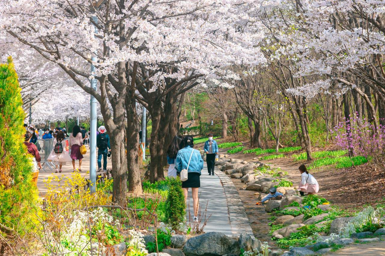 서울숲까지 즐겨보기 / 사진=서울관광재단