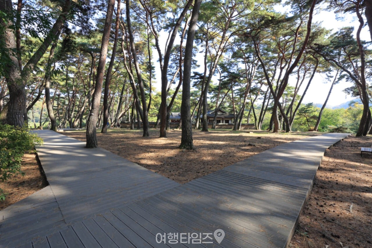 청령포 / 사진=게티이미지뱅크