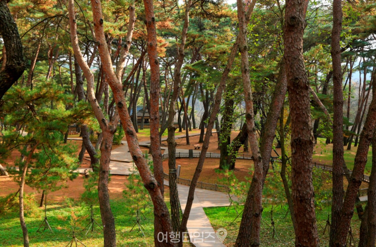 청령포 / 사진=게티이미지뱅크