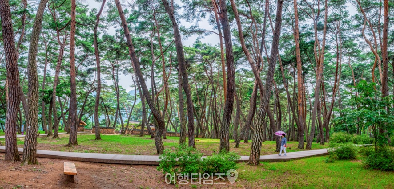 청령포 / 사진=게티이미지뱅크