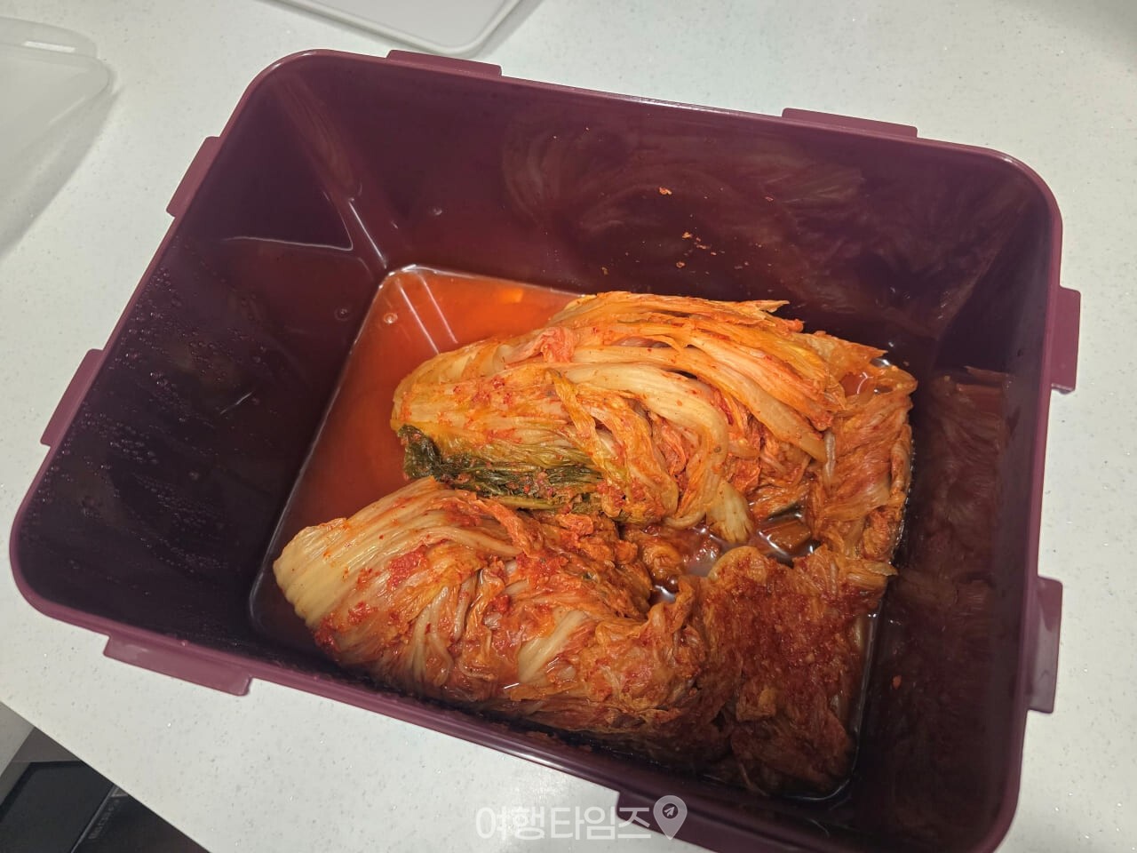 김치통 / 사진=여행타임즈